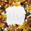 Leaves photo frame PSD PNG