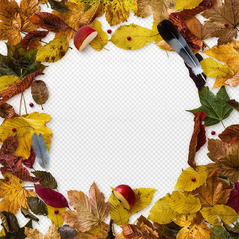 Leaves photo frame PSD PNG