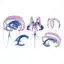 Limbic system medical illustration