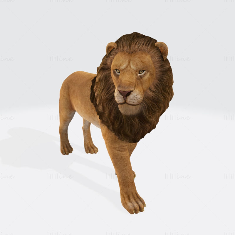 Lion 3D Printing Model
