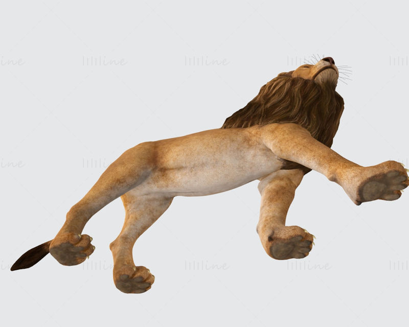 Lion 3D Printing Model
