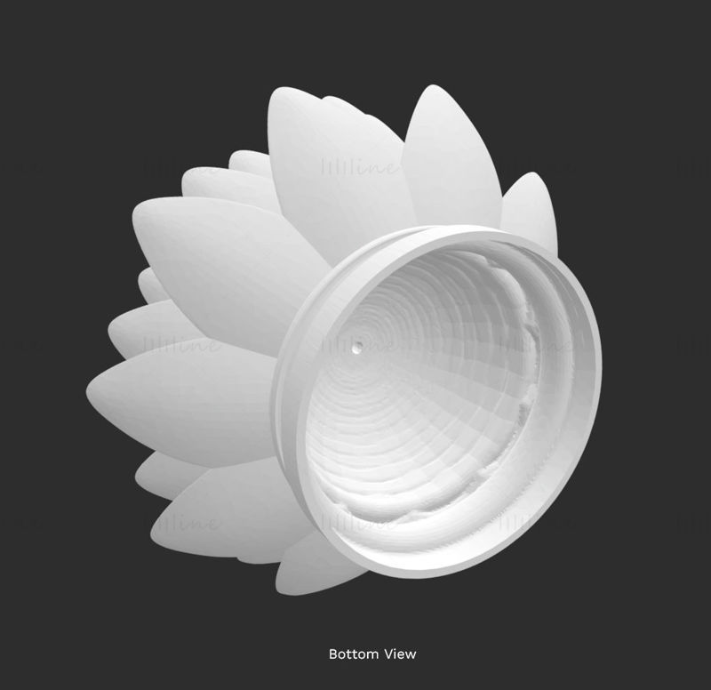 3д модель фонаря лотоса