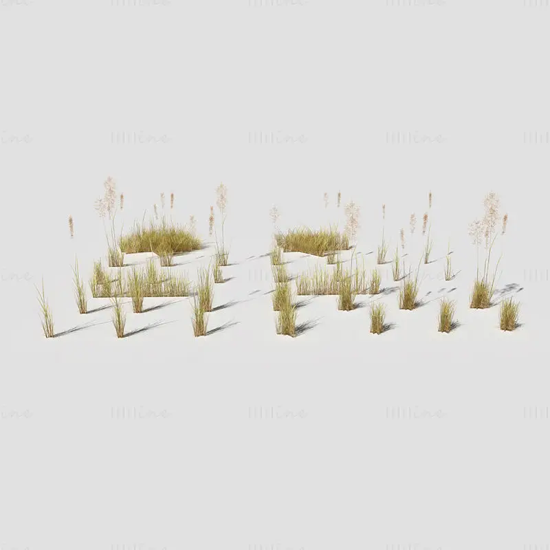 Low Polygon Bent Grass Dry 3D model
