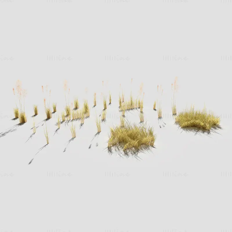Nizko poligonski 3D model upognjene suhe trave
