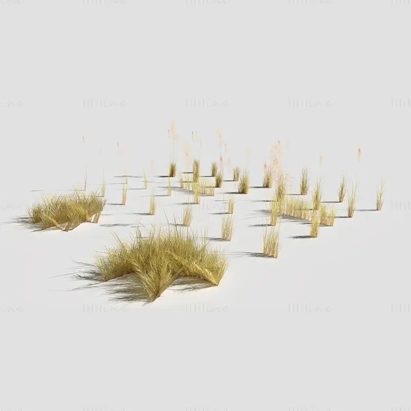 Düşük Poligon Bükülmüş Çim Kuru 3D model