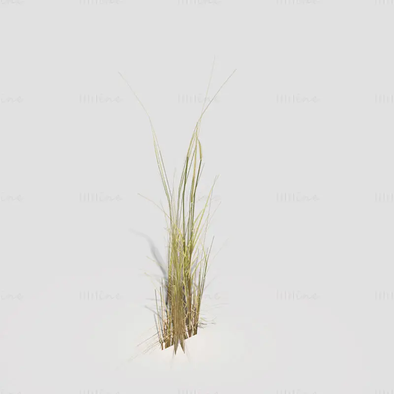 Low Polygon Bent Grass Dry 3D-Modell