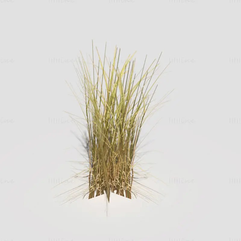 Alacsony sokszögű hajlított fű, száraz 3D modell