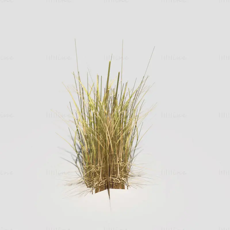 Ниски полигон савијена трава сува 3Д модел
