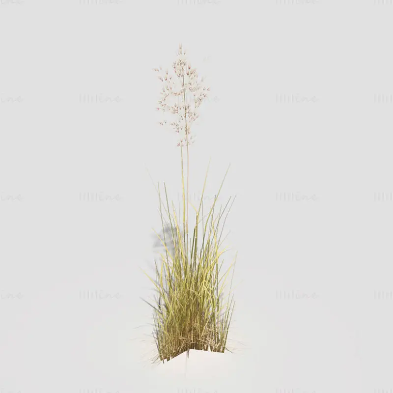 低ポリゴンの曲がった草の乾燥3Dモデル