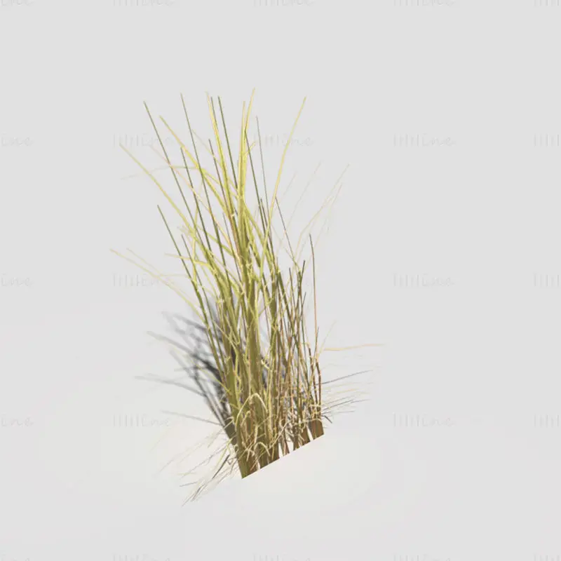 Nizko poligonski 3D model upognjene suhe trave