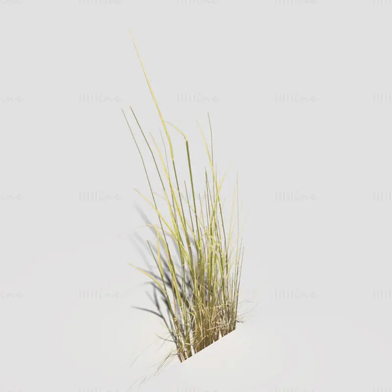 3D модел с нисък многоъгълник, огъната суха трева