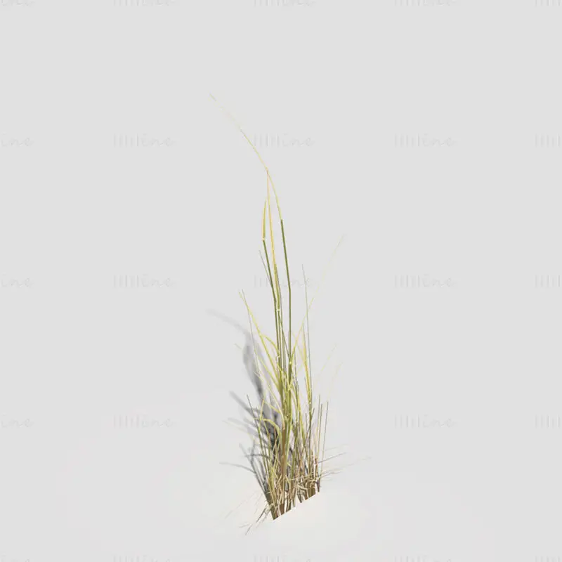 Low Polygon Bent Grass Dry 3D model