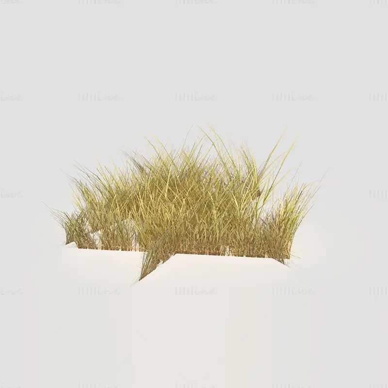 低多边形本草干3D模型