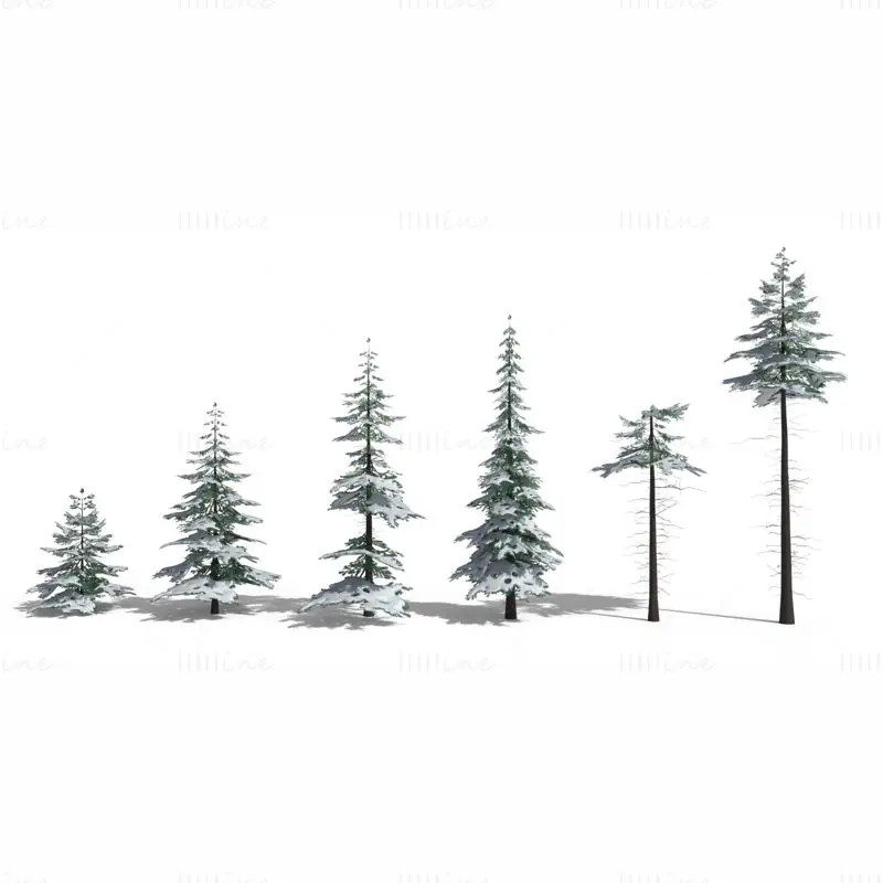 低多边形雪云杉树 3D 模型包