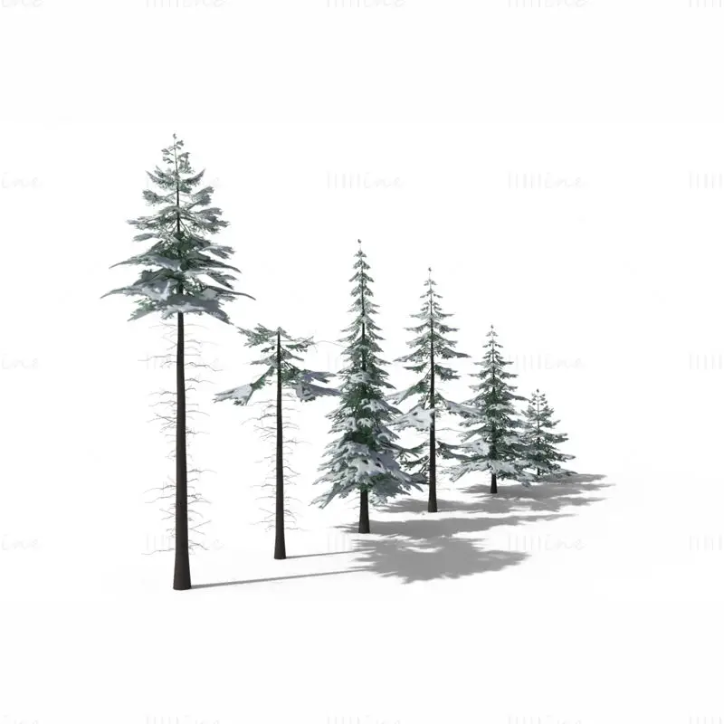 Пакет 3D модели на нисък многоъгълник Снежно смърчово дърво