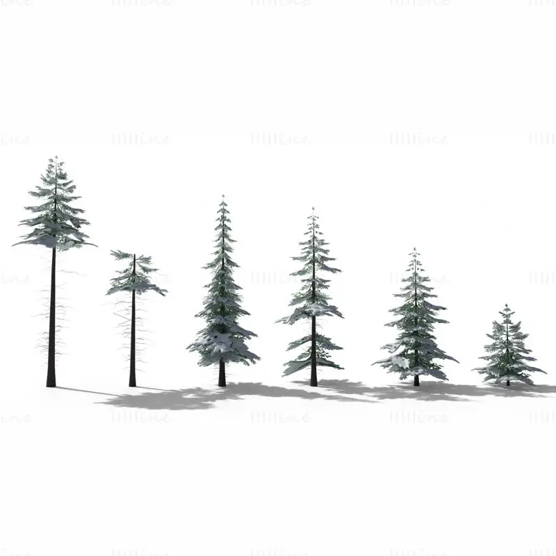 Pacote de modelo 3D de árvore de abeto nevado de baixo polígono