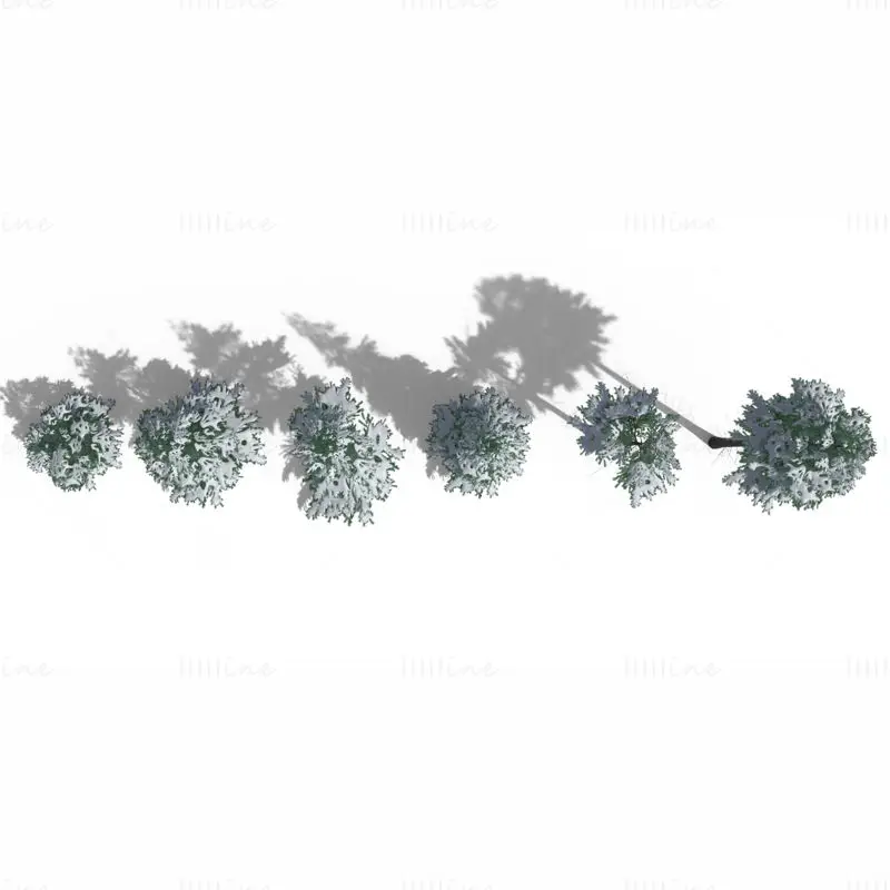Paquete de modelos 3D de árbol de abeto nevado de bajo polígono