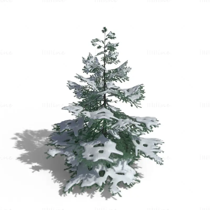 低ポリゴンの雪に覆われたトウヒの木 3D モデル パック