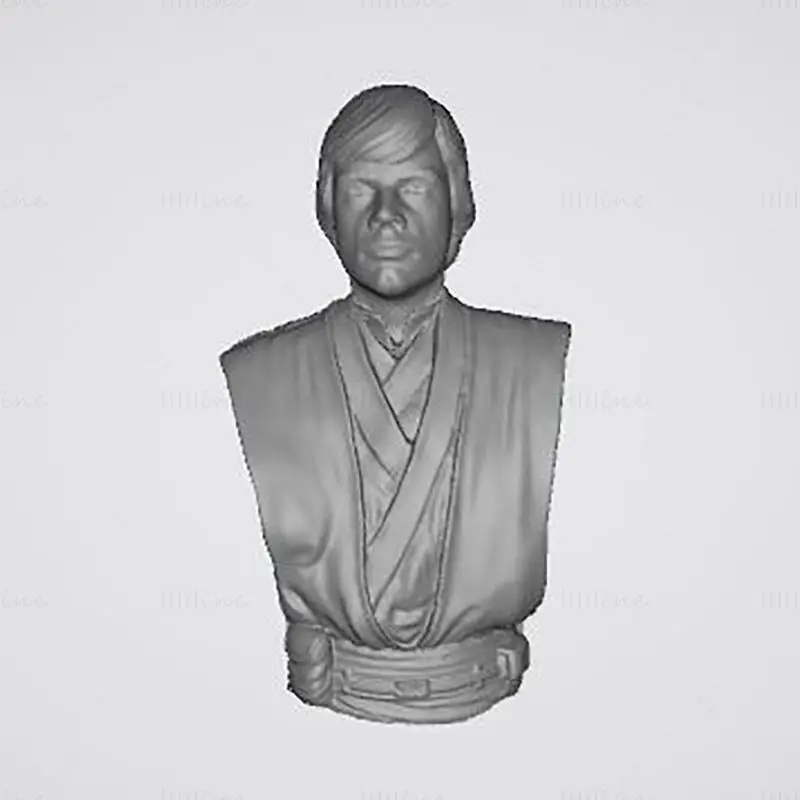 Luke Skywalker 3D Print Model STL