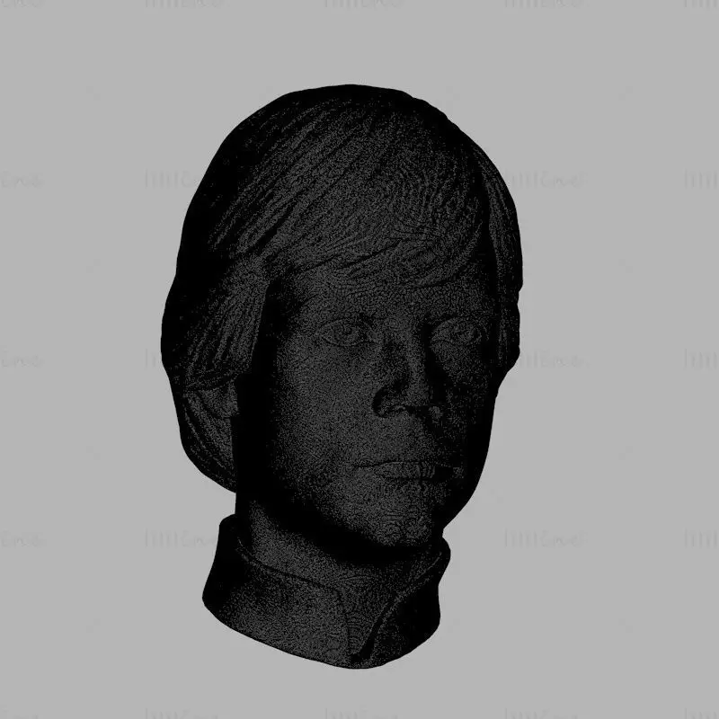 Luke Skywalker Head Sculpture Model 3D Print