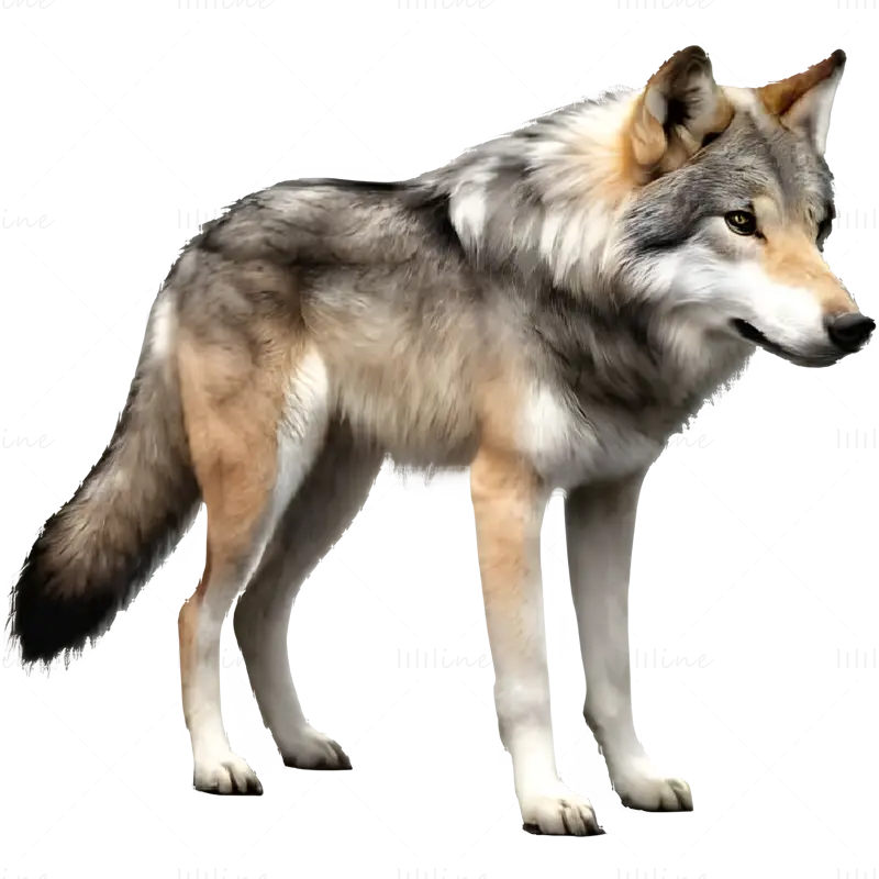 سری مدل های چاپ سه بعدی Lunar Wolf