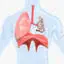 Lungs medical illustration