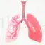 Lungs medical illustration