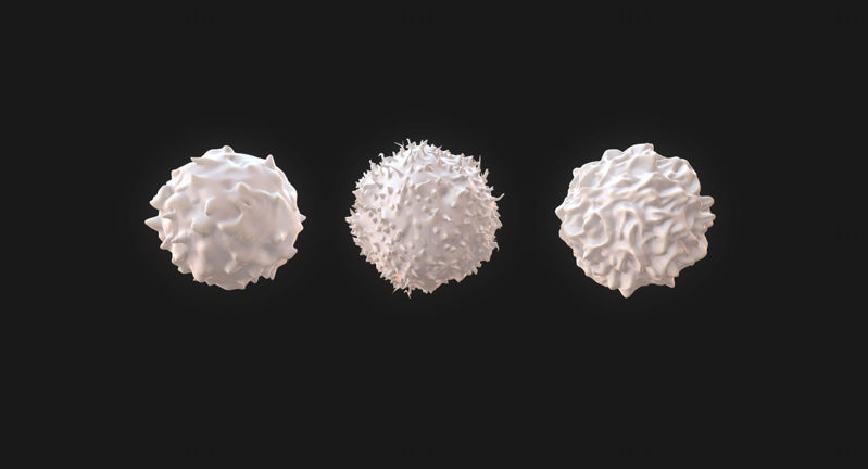 لنفوسیت ها نوتروفیل بازوفیل B-سلول های T-سلول های مونوسیت مدل سه بعدی