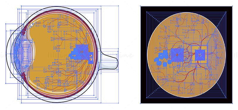 Ilustración de vector de degeneración macular