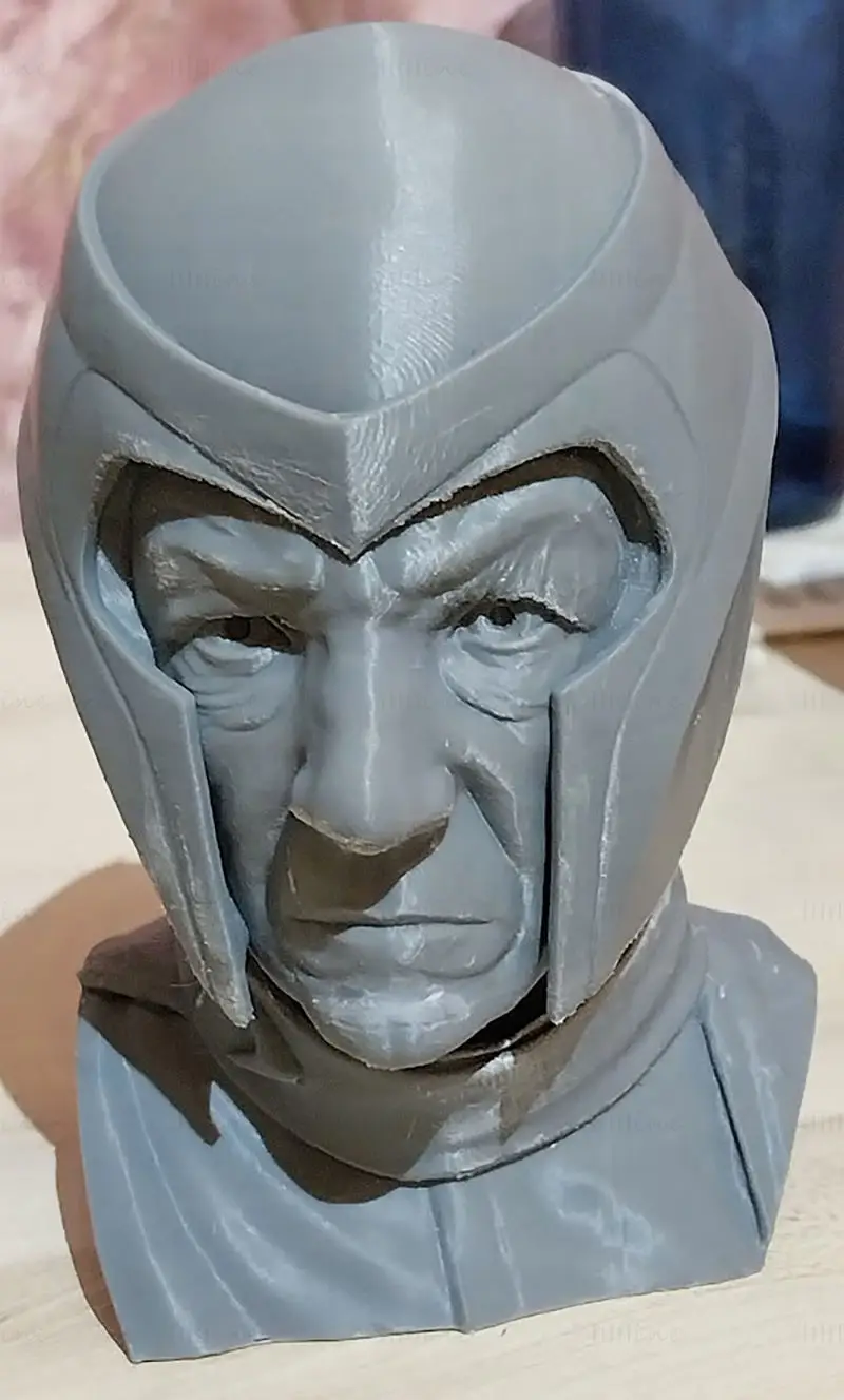 Magneto Bust 3D nyomtatási modell STL