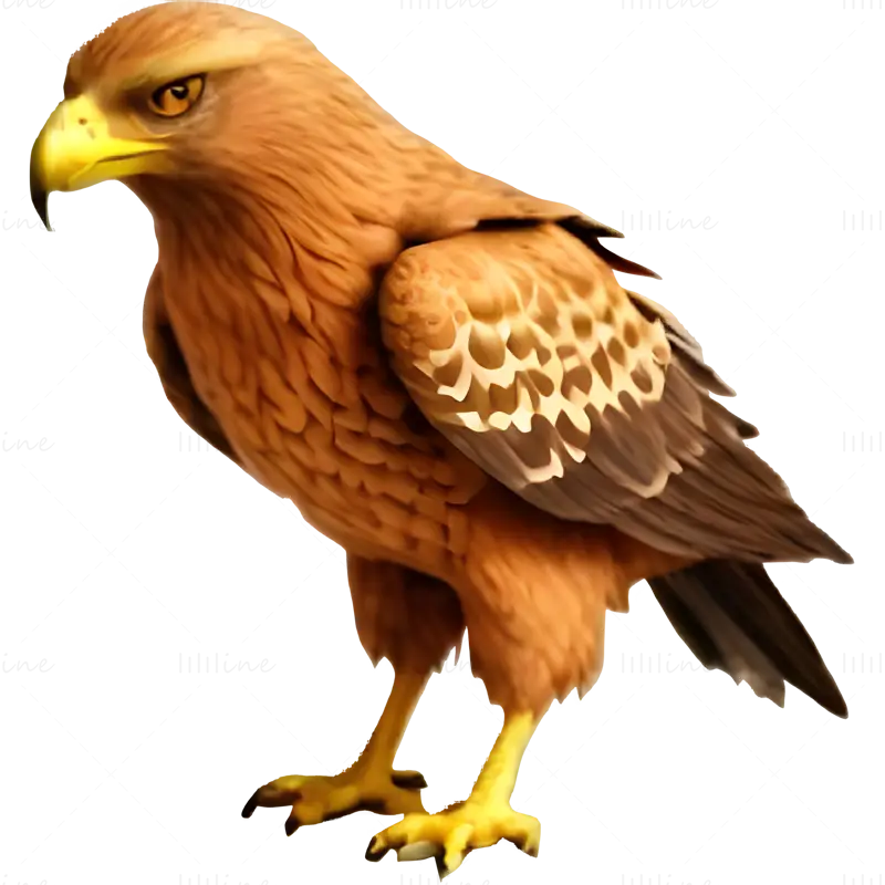 Majestic Eagle Display Model 3D Print Model