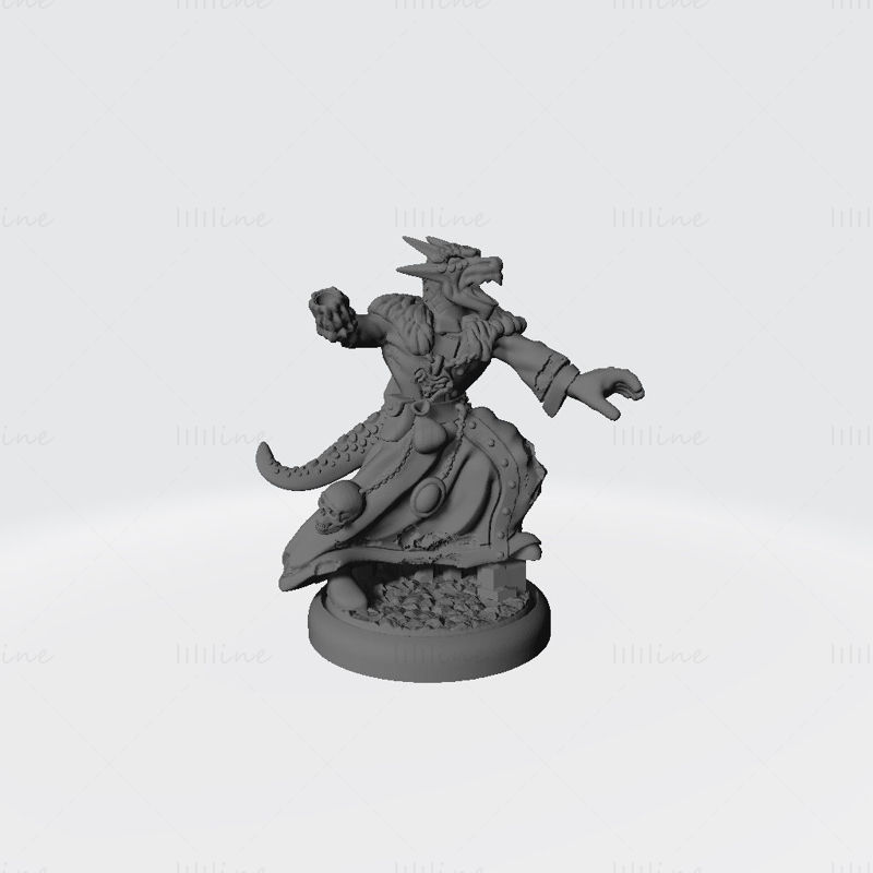 Model 3D tiskanja moškega šamana Ice Dragonborn