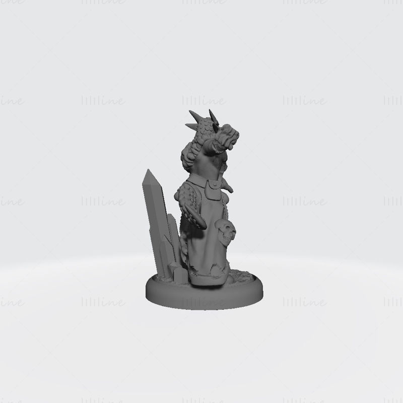 Modelo de impresión 3D de chamán nacido de dragón de hielo masculino