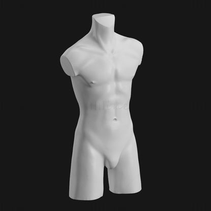 男性时装模特躯干3d打印模型
