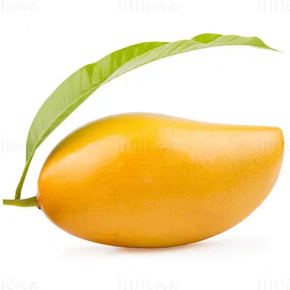 Immagine di mango