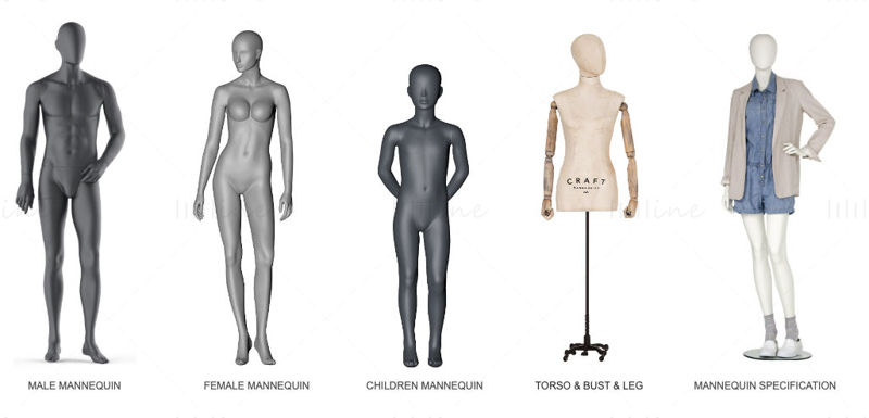Mannequins Design Service