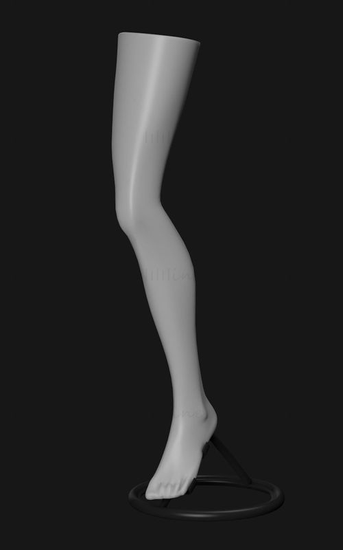 Mannequins Leg 3d model