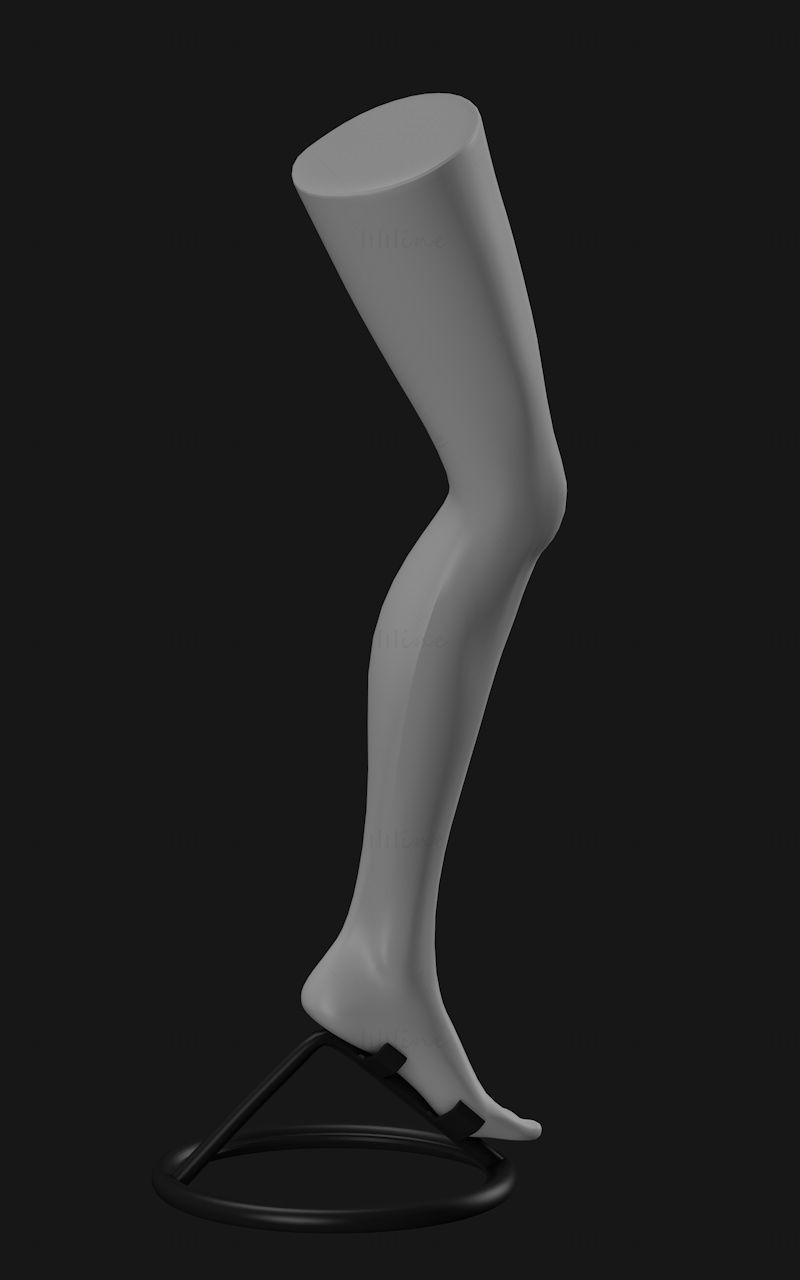 Mannequins-Bein-Modell 3d