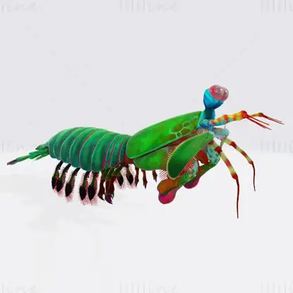Modello di stampa 3D di gamberetto mantide