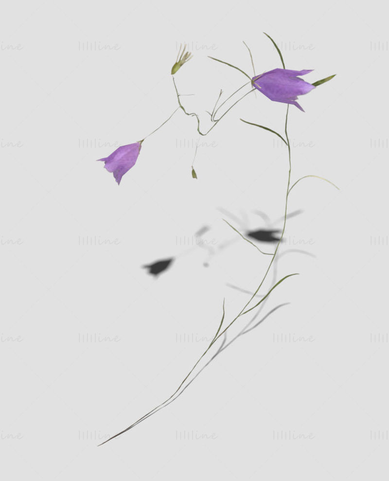 Paquete de modelo 3D de flor de campanilla