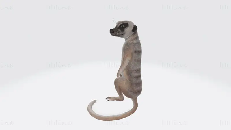 ミーアキャットの3Dプリントモデル