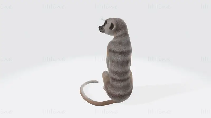 ミーアキャットの3Dプリントモデル