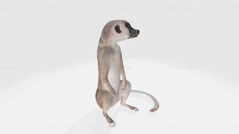 ミーアキャットの3Dプリントモデル