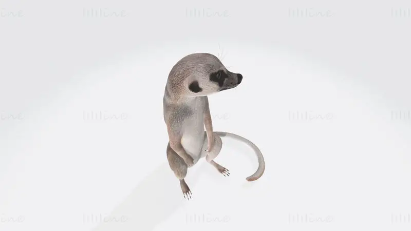 ミーアキャットの3Dプリントモデル