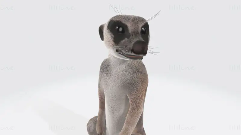 ミーアキャットの3Dプリントモデル