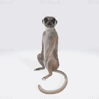 3D-natisnjen model surikate