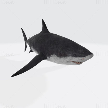 Megalodon Köpekbalığı 3D Baskı Modeli