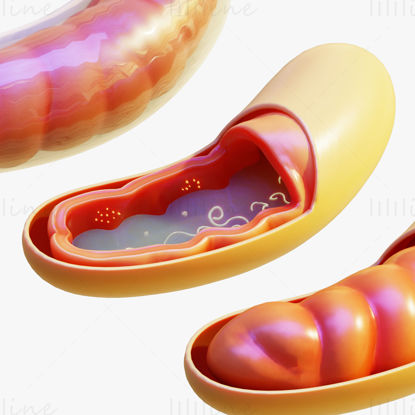 Mitokondrium 3D-s modell