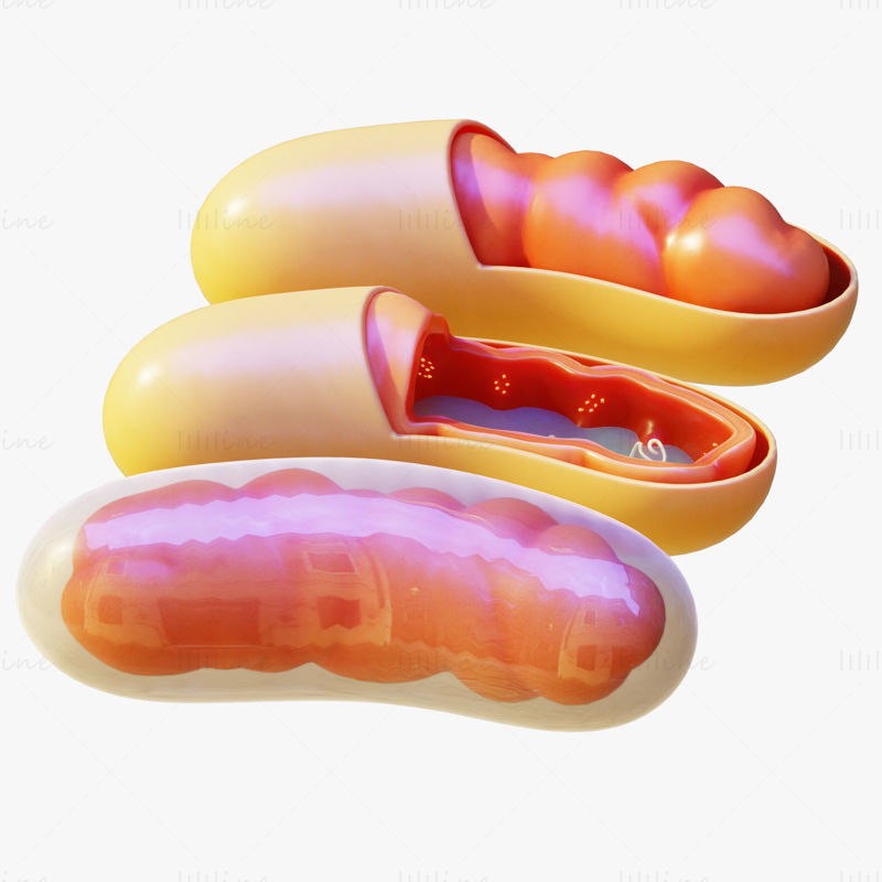 Modelo 3D de mitocondrias