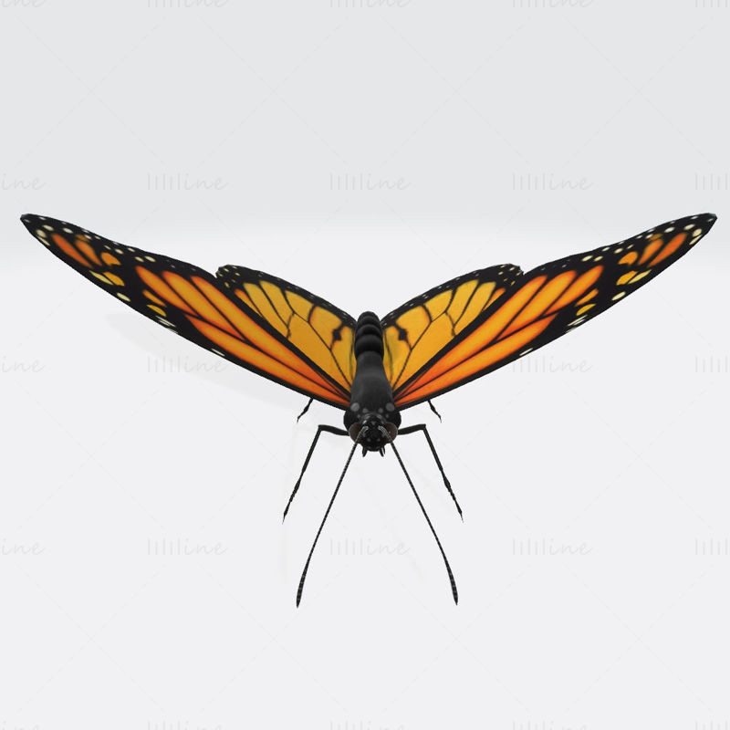 Papillon - Impression 3D